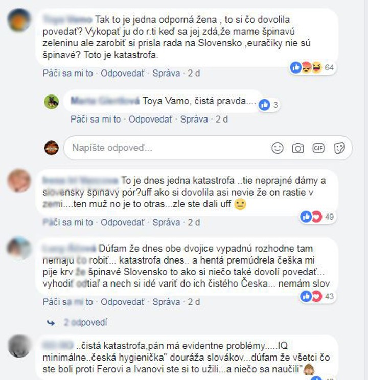 Moja mama - Danine negativne slova na slovensko